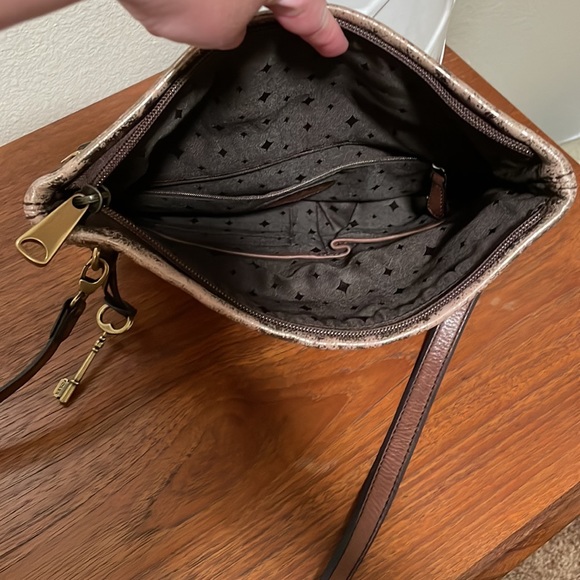 Fossil clutch. - Picture 3 of 3